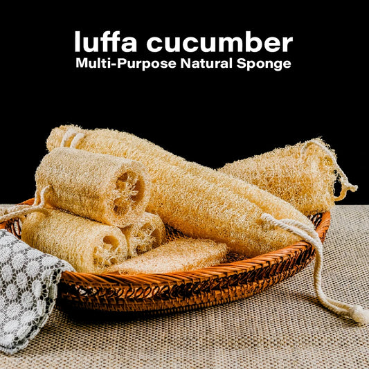 Eco Loofah Duo Pack – Natural Exfoliating Sponge (15CM)